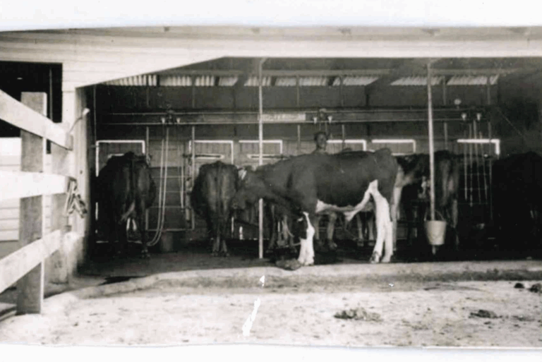 Home - Accommodation