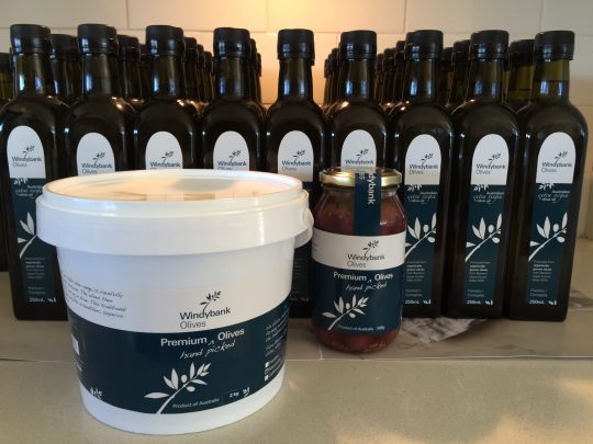 Windybank Olive - Windybank Estate Hunter Valley